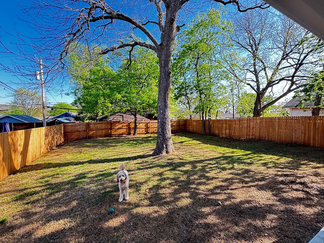 Revived & Protected: Fence Cleaning & Staining Done Right